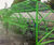 External furniture and cycle shelters for Tameside phase 2 BSF 6