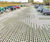 Hydro Lineo and XL - concrete grass pavers for grassed areas 0