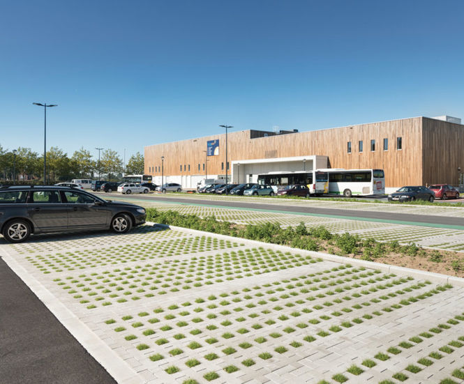 Greenstones concrete grass pavers for lightly-trafficked areas