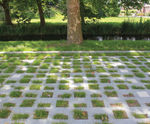 Square concrete grass pavers for light vehicular traffic areas