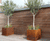 Premium Cube square fibreglass planter 1