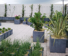 Premium Cube square fibreglass planter