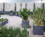 Premium Cube square fibreglass planter