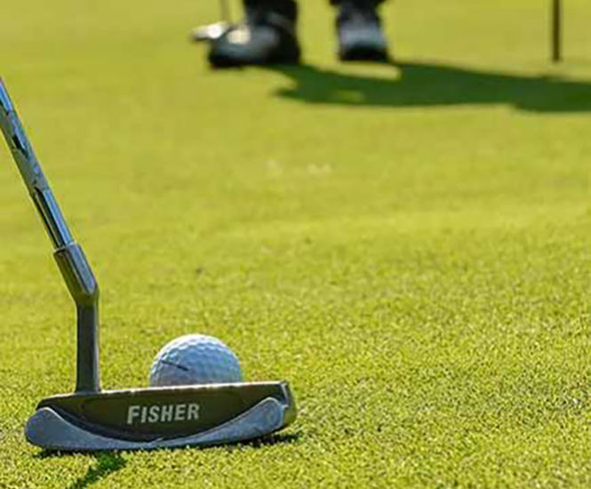 AberMajesty brownbent grass seed mix for golf greens Germinal Amenity