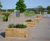 Moveable timber planters and seating for traffic management at campus 8