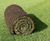 Premium Lawn Turf for all-round use 1