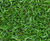 Premium Lawn Turf for all-round use 3