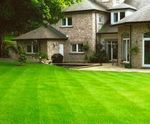 Premium Lawn Turf for all-round use