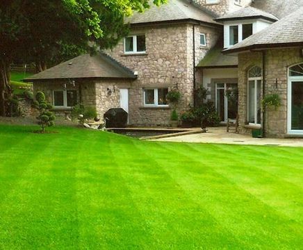 Premium Lawn Turf for all-round use