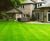 Premium Lawn Turf for all-round use 0