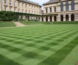 MM Grass Seed Is A Winner For Worcester College, Oxford - on this page