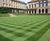 MM Grass Seed Is A Winner For Worcester College, Oxford 0