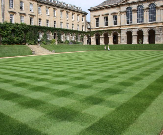 MM Grass Seed Is A Winner For Worcester College, Oxford