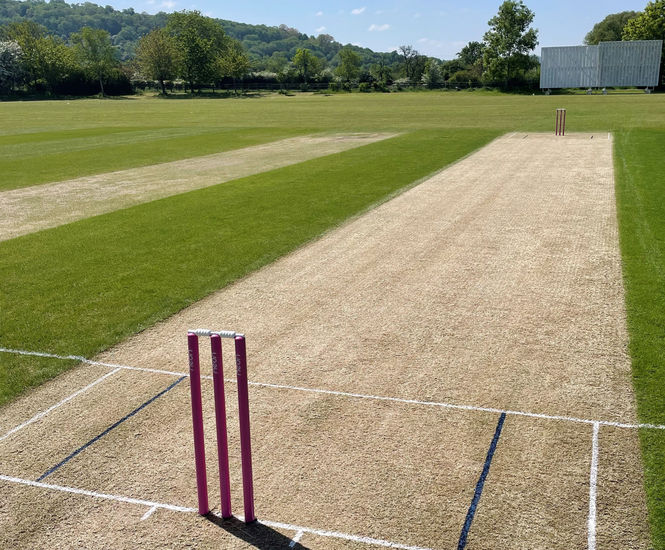 It's J Premier Wicket time and again for Willow Turf Care