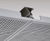 TVS Acoustic Metal Clip-In acoustic tile system 0