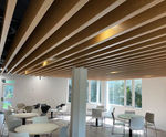 TVS Metal Baffle - acoustic ceiling panels