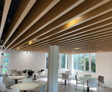 TVS Metal Baffle - acoustic ceiling panels - on this page