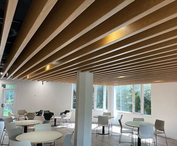 TVS Metal Baffle - acoustic ceiling panels
