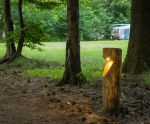 Bosco 93003 wired illuminated timber bollard 
