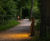 Bosco 93003 wired illuminated timber bollard  1