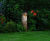 Bosco - solar powered illuminated timber bollard 1