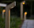 Punto Lighting Bollard - timber LED outdoor path light 3