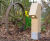 Peri (Wired) - compact outdoor timber bollard light 2
