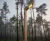 Strato contemporary timber lamppost (93007) 0