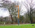 Angelo contemporary timber lamppost (93009) 3