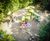 Nature-themed playground for Zoodyssée wildlife park, France 3