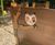 Nature-themed playground for Zoodyssée wildlife park, France 6