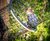 Nature-themed playground for Zoodyssée wildlife park, France 2