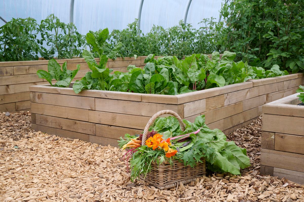 Images for Raised planters for vegetables in luxury hotel's kitchen garden