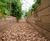 Raised planters for vegetables in luxury hotel's kitchen garden 8