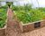 Raised planters for vegetables in luxury hotel's kitchen garden 9