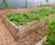 Raised planters for vegetables in luxury hotel's kitchen garden 10