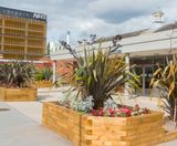 WoodBlocX for hospitals - on this page
