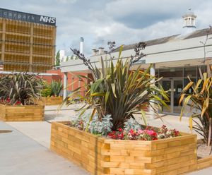 WoodBlocX for hospitals