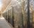 358 Securi-Mesh® - high-security fencing system 1