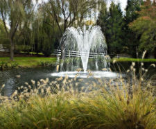 Spectacular fountains for day or night