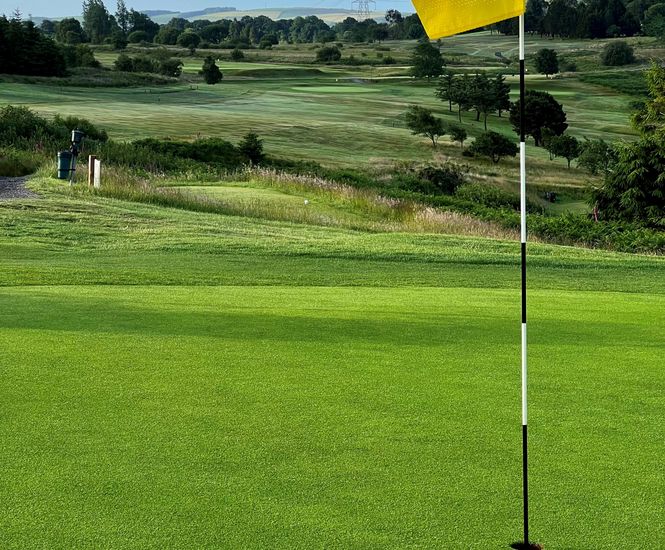 Johnsons grass seed manages microclimate at Maesteg Golf Club