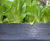 Plaswood recycled plastic raised bed planter with seat 3