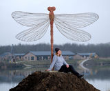 Wykeham Damselfly sculpture for water park - on this page