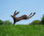 Leaping Hare - willow sculpture 1