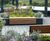 AKRI planters help create rooftop sanctuary at DIRFT 3