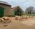 Picnic tables for Hainault Forest Country Park 0