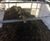 MAS filter units remove plastics from AD digestate at Amur Energy 2