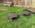 Natural playground for Hamsey Parish 1