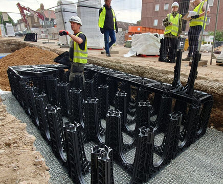 Essential must knows when assessing tree pits
