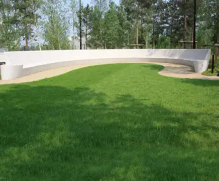 Wildflower Species Rich Lawn Turf